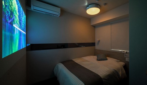 Chambre, 1 lit double, non-fumeurs (Theater)