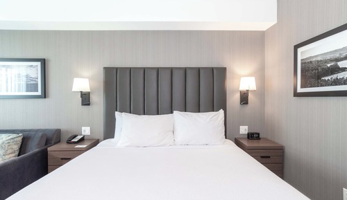 Chambre Standard, 1 très grand lit et 1 canapé-lit