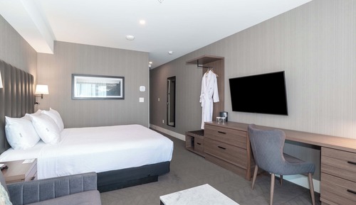Chambre Standard, 1 très grand lit et 1 canapé-lit (Euro Style Shower)