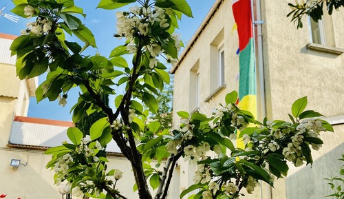 Chambre Double Supérieure, vue jardin
