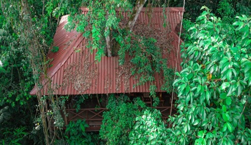 Tree House, 1 très grand lit, vue montagne