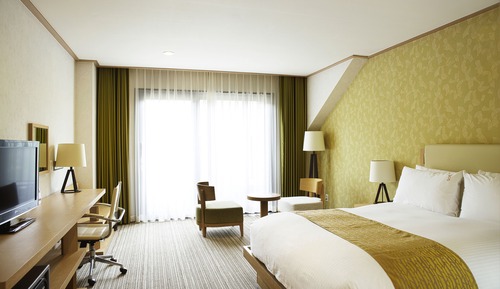 Chambre Standard, 1 grand lit (Furnished Balcony)