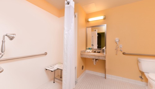 Chambre Standard, 1 très grand lit, douche accessible en fauteuil roulant (Communications)