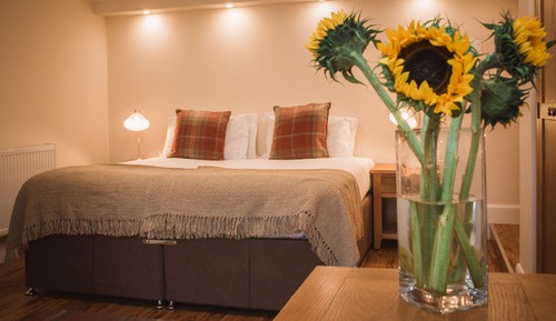 Chambre Deluxe Double ou avec lits jumeaux, 1 très grand lit