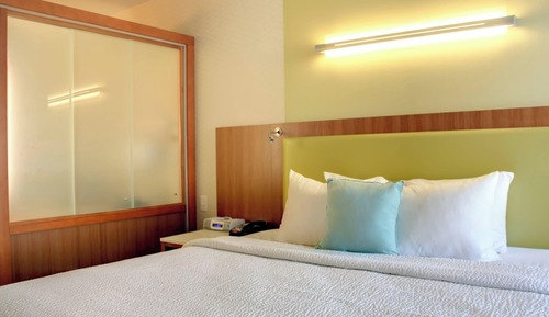 Suite, 1 très grand lit et 1 canapé-lit (Hearing Accessible)