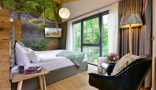 Tree House Supérieure, vue jardin