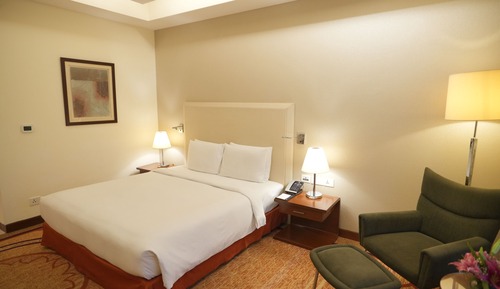 Chambre, 1 très grand lit, accessible aux personnes à mobilité réduite (Guest Room)
