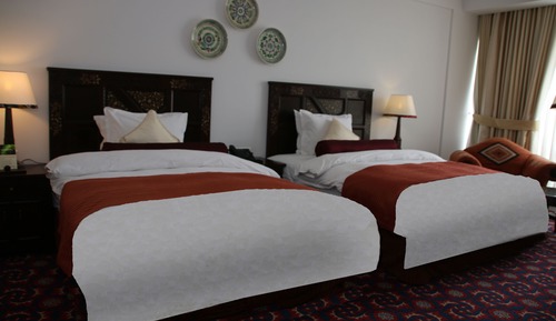 Chambre Deluxe avec lits jumeaux