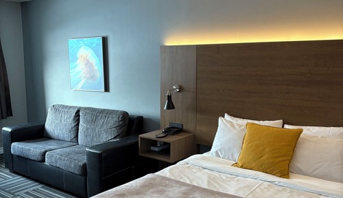 Chambre Standard, 1 grand lit