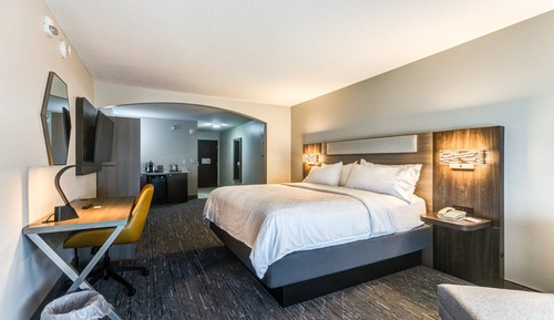 Suite, 1 très grand lit, accessible aux personnes à mobilité réduite (Comm, Transfer Shower)