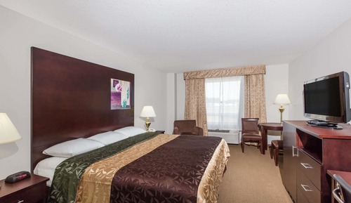 Chambre Standard, 1 très grand lit