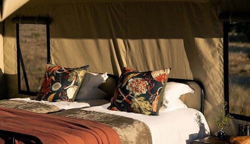 Tente Luxe