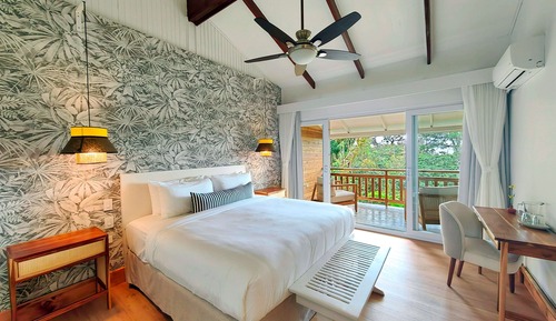 Motmot Suite