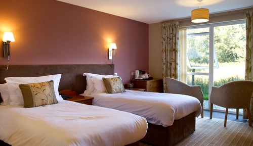 Chambre Supérieure Double ou avec lits jumeaux, 1 chambre