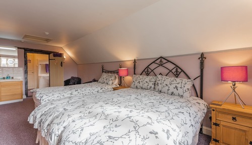 Chambre Double, salle de bains attenante (Twin)