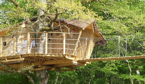 Cabane dans les arbres