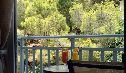 Chambre Double ou avec lits jumeaux, vue montagne