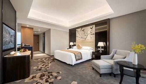 Chambre Majestueuse, 1 chambre