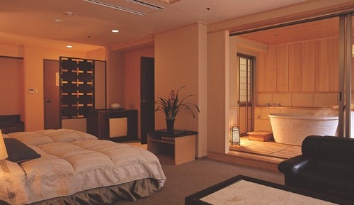 Chambre Exécutive avec lits jumeaux, 2 lits une place, salle de bains privée, vue montagne