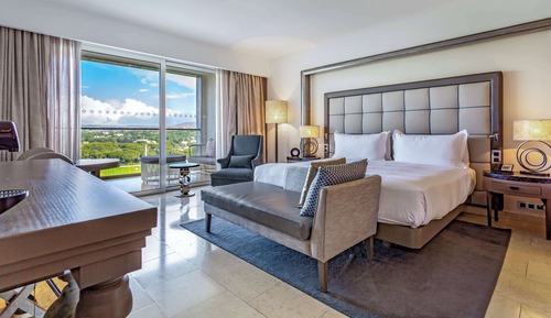 Chambre Deluxe, 1 très grand lit (Plus)