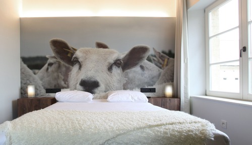 Chambre Double Standard pour 1 personne