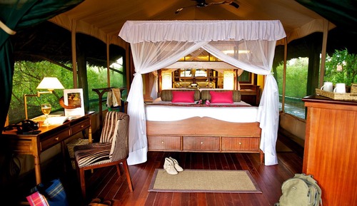 Tente Deluxe (2 Safari Included)