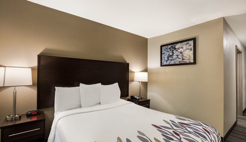 Chambre Deluxe, 1 grand lit (Roll In Shower, Smoke Free)
