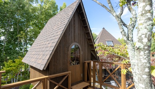 Chambre, non-fumeurs (Tree house, Grill Dinner, BF Box incl)
