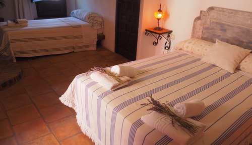 Chambre Double ou avec lits jumeaux, 2 lits une place, cheminée, vue cour intérieure