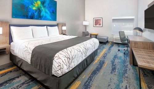 Suite Studio, 1 très grand lit et 1 canapé-lit, non-fumeurs (Mobility,Hearing,Tub w/Grab Bars,)