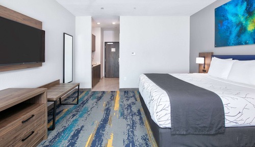 Suite Studio, 1 très grand lit et 1 canapé-lit, non-fumeurs