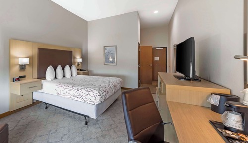 Chambre Standard, 1 très grand lit, accessible aux personnes à mobilité réduite