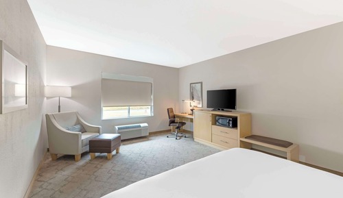 Chambre Standard, 1 très grand lit, non-fumeurs, réfrigérateur et four à micro-ondes