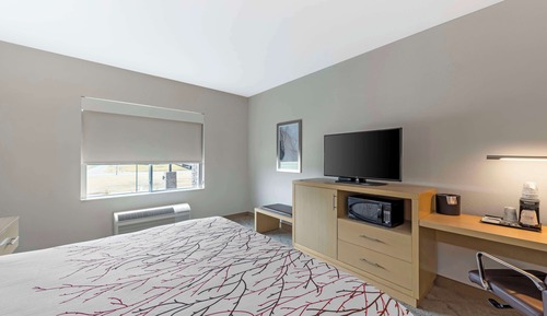 Chambre Standard, 1 très grand lit, non-fumeurs, réfrigérateur et four à micro-ondes