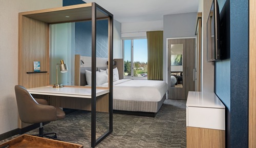 Suite, 1 très grand lit et 1 canapé-lit (Hearing Accessible)