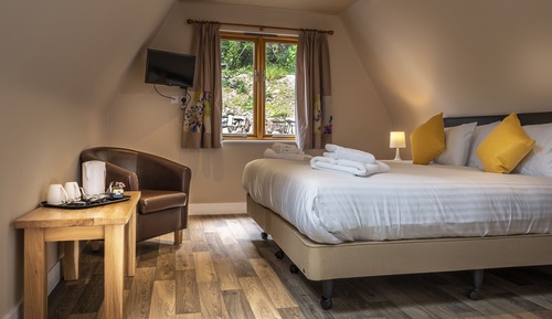 Chambre avec lits jumeaux (Primrose)