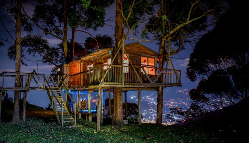 Tree House Supérieure, 1 grand lit, bain à remous, vue ville