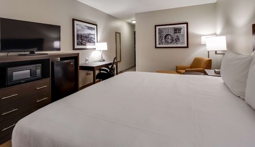 Chambre Standard, 1 très grand lit, non-fumeurs, réfrigérateur et four à micro-ondes