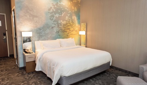 Chambre, 1 très grand lit (Mobility/Hearing Access, Roll-In Shwr)
