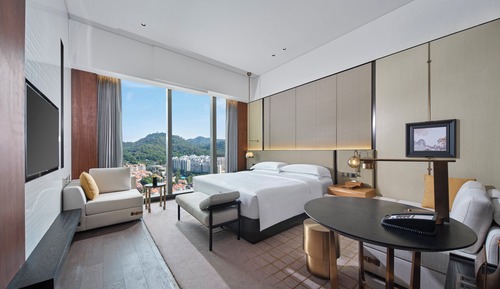 Chambre Classique, 1 très grand lit, vue ville
