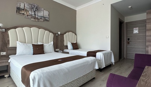 Chambre Triple Standard, vue montagne