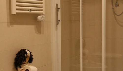 Chambre Double ou avec lits jumeaux (3)