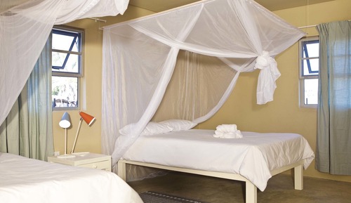Chambre Standard Double ou avec lits jumeaux, plusieurs lits