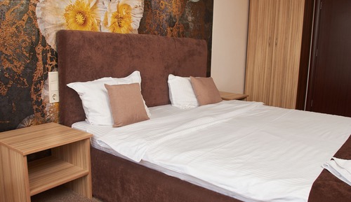 Chambre Double Classique pour 1 personne
