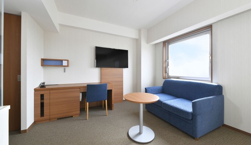 Chambre Triple, non-fumeurs (2 guests)