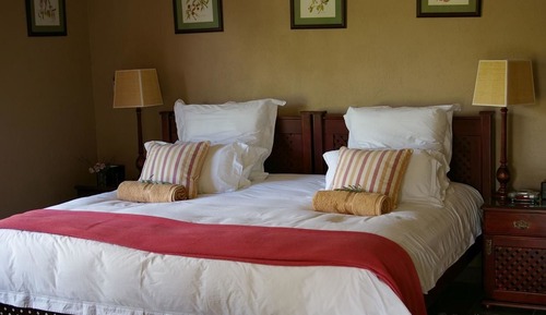 Suite Luxe