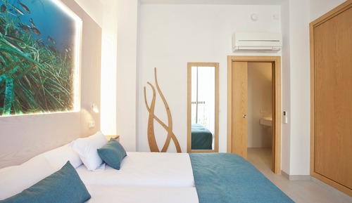 Apartment, 1 Bedroom, Terrace