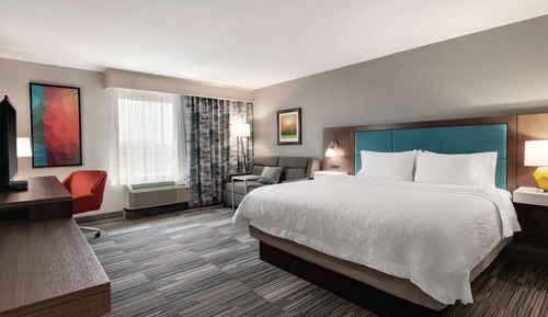Chambre, 1 très grand lit et 1 canapé-lit, réfrigérateur et four à micro-ondes