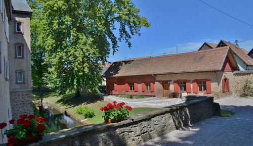 Appartement Deluxe, 1 très grand lit, terrasse, rez-de-chaussée
