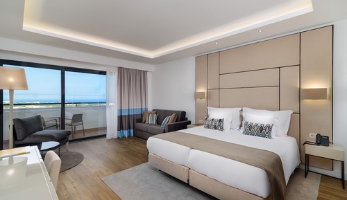Chambre Double Classique pour 1 personne